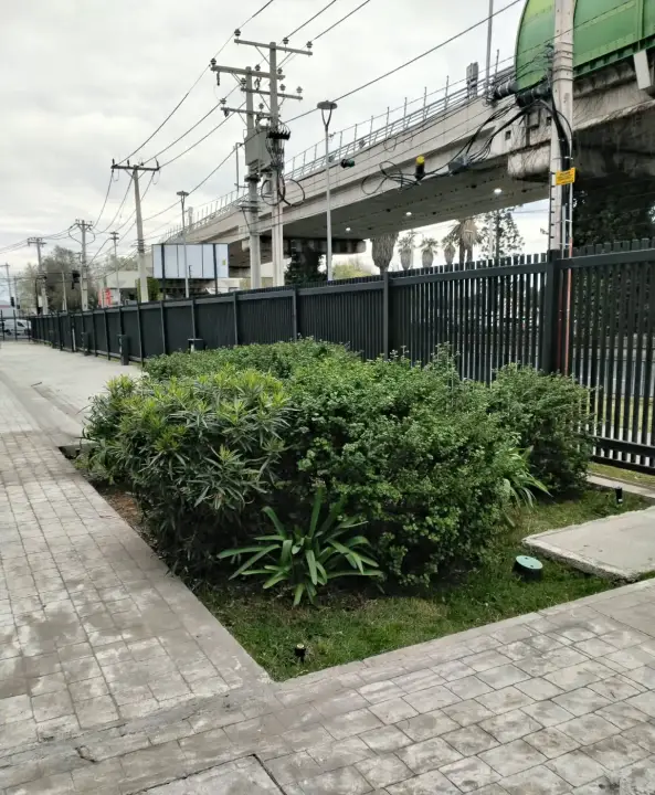 Jardín mantenido junto a una vereda